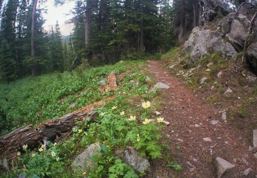 Baker Gulch Trail